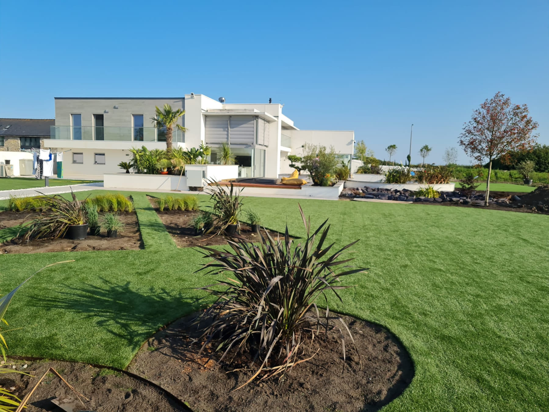 Modern house with landscaped lawn, planted borders and palms in the front garden