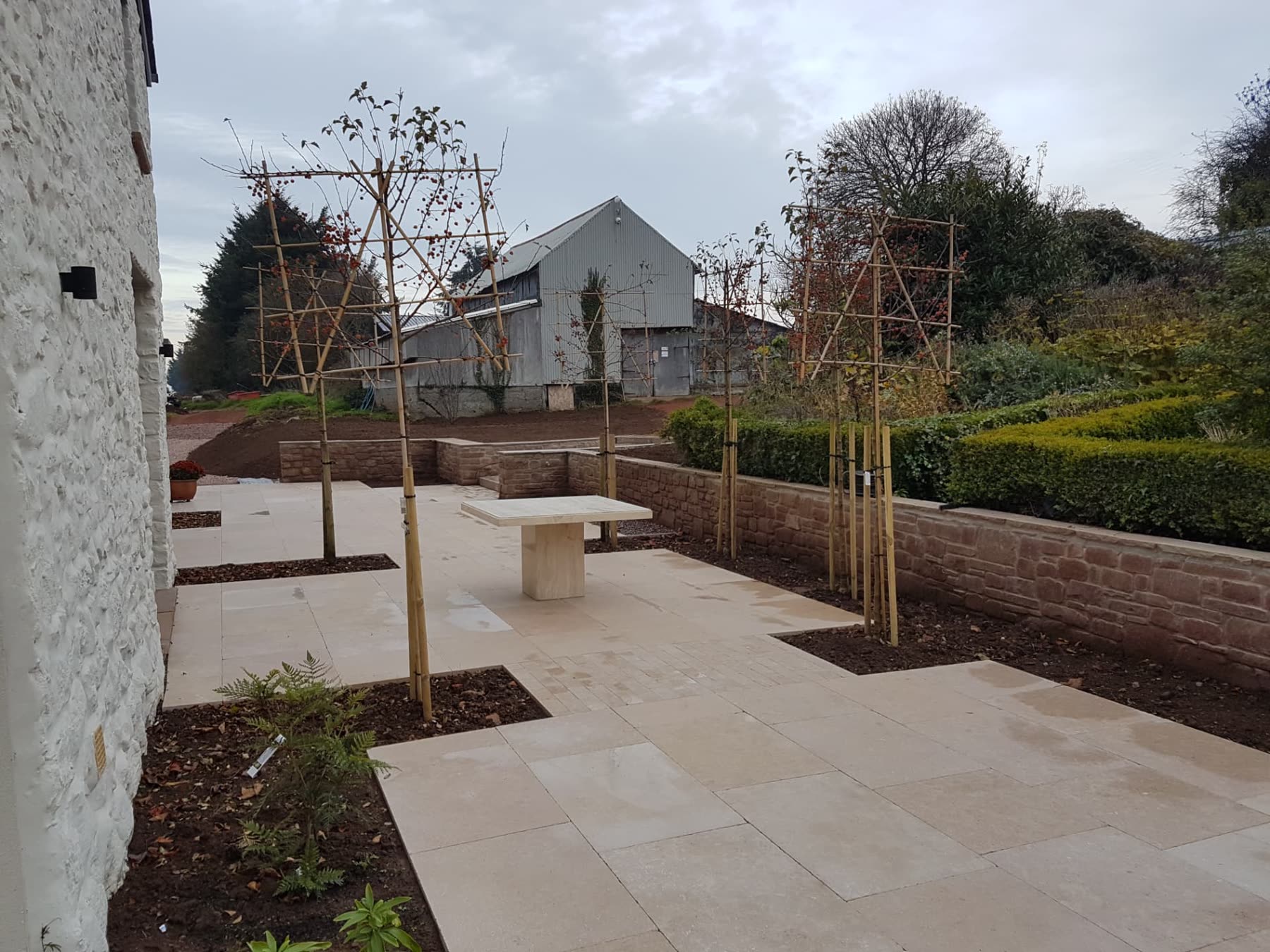 Limestone-paved terrace with newly planted trees at the Rhoose project