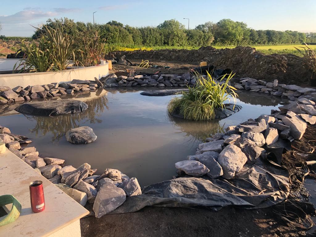 Newly formed garden pond lined with natural stone and aquatic planting under construction